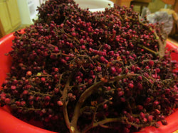 Sumac Berries, Whole - 2025 Appalachian Mountains Wild Harvest