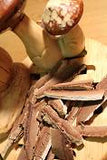 Artists Conk Reishi Mushroom - Ganoderma applanatum, Slices and Pieces