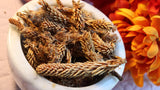 Pine Buds - Amazing Pine Flavored Tea