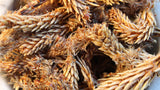Pine Buds - Amazing Pine Flavored Tea
