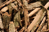 Tulip Poplar Bark - Wild Crafted Herb from the Appalachian Mountains