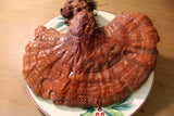 Reishi Mushroom - Whole Ganoderma lucidum