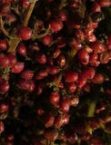 Sumac Berries, Whole - 2025 Appalachian Mountains Wild Harvest