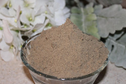 Teasel Root Powder - Wild Harvested from the foothills of the Appalachian Mountains