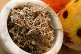 Teasel Flower Seeds - Grow your own Herbs !