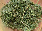 Alfalfa Leaf Powder