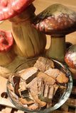 Amadou Mushroom - Tinder Conk Appalachian Mountains Wild Harvest