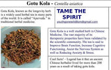 Gotu Kola Tea - Chinese Herbs