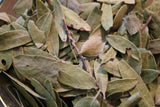 Uva Ursi Leaf Powder - Kinnikinnik Herb