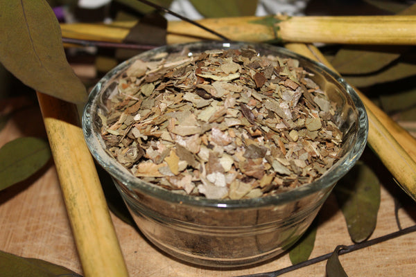 Boldo Leaf