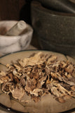 Maitake Mushroom, Hen of the woods - Wild Harvested in the Appalachian Mountains