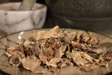 Maitake Mushroom Powder, Hen of the woods - Wild Harvested in the Appalachian Mountains