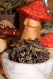 Chanterelle Mushroom (Black Trumpet Strain) - Wild Harvested