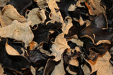 Wood Ear Mushroom - Dried for Culinary and Medicinal use