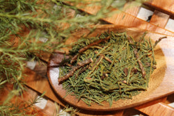 Cedar Leaf - Juniperus virginiana, Fresh Cut Juniper Herb