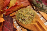 Pine Needle Tea - Whole Leaf