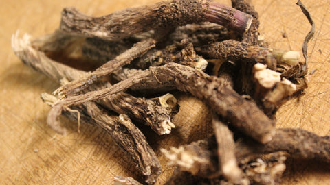 Chicory Root - Wild Harvested Large Cut