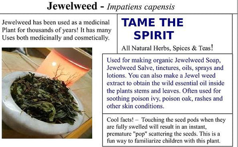 Jewelweed Seeds - Grow Your own Herbs!