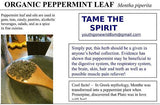 Peppermint leaf Powder