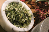 Wild Carrot Herb, ( Queen Annes Lace )  - Wild Harvested in the Appalachian Mountains