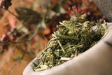Wild Carrot Herb, ( Queen Annes Lace )  - Wild Harvested in the Appalachian Mountains