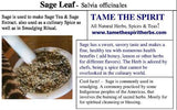 Silver Sagebrush Seeds - Grow your own Herbs!