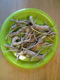 Sassafras Root Bark - Wild Harvested Herb