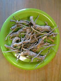 Sassafras Root - Wild Harvested Herb