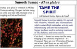 Sumac Tree Seeds - Grow your own Herbs!
