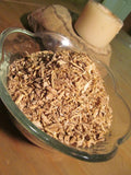 Angelica Seeds - Grow Your Own Herbs !