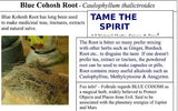 Blue Cohosh Root Powder - Wild Harvested in the foothills of the Appalachian Mountains