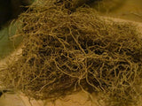 Blue Cohosh Root Powder - Wild Harvested in the foothills of the Appalachian Mountains