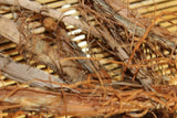 Cattail Roots - Wild Harvested