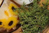 Cedar Leaf Powder - Juniperus virginiana, Fresh Cut Juniper Herb