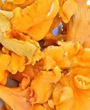 Chanterelle Mushrooms - Wild Harvested, Whole, Dried