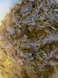 Dandelion Root Tea - Wild Harvested Dandelion Herbal Tea