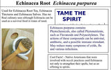 Echinacea Herb - Appalachian Mountains Wild Harvest