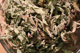 Evening Primrose Herb