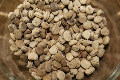 plant ginseng seeds Ginseng Seeds