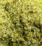 Goldenrod Tea - Wild Harvested Goldenrod Flowers