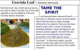Graviola Leaves, Powdered Soursop Tea