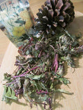 Heal All Tea - Self Heal Herb, Wild Harvest
