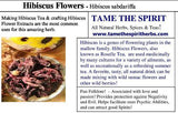 Hibiscus Flowers Powder, Roselle Tea