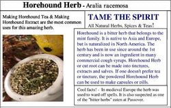 Horehound Seeds - Grow your own Herbs