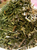 Ladys Mantle Herb,  Alchemilla xanthochlora