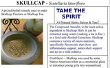 Skullcap Powder - All Natural Baicalin