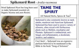Spikenard Root - Wild Harvest from the foothills of the Appalachian Mountains