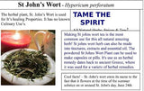 St. John's Wort Seeds - Grow your own Herbs!