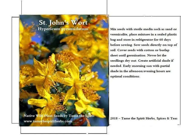 St. John's Wort Seeds