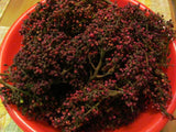 Sumac Berries, Ground - Wild Harvest from the Appalachian Mountains